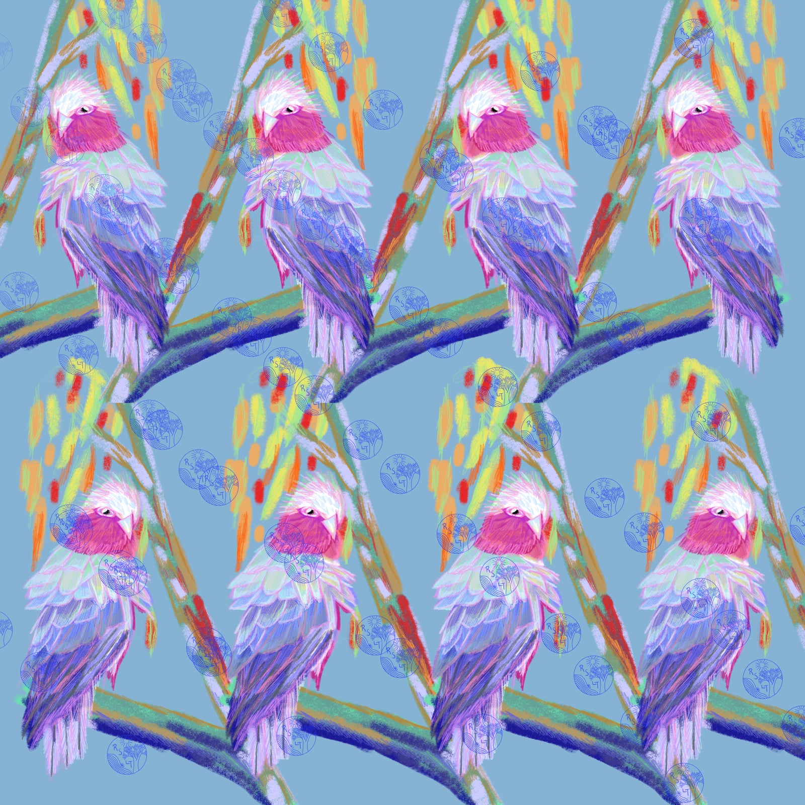 Things I Miss #1: Galahs