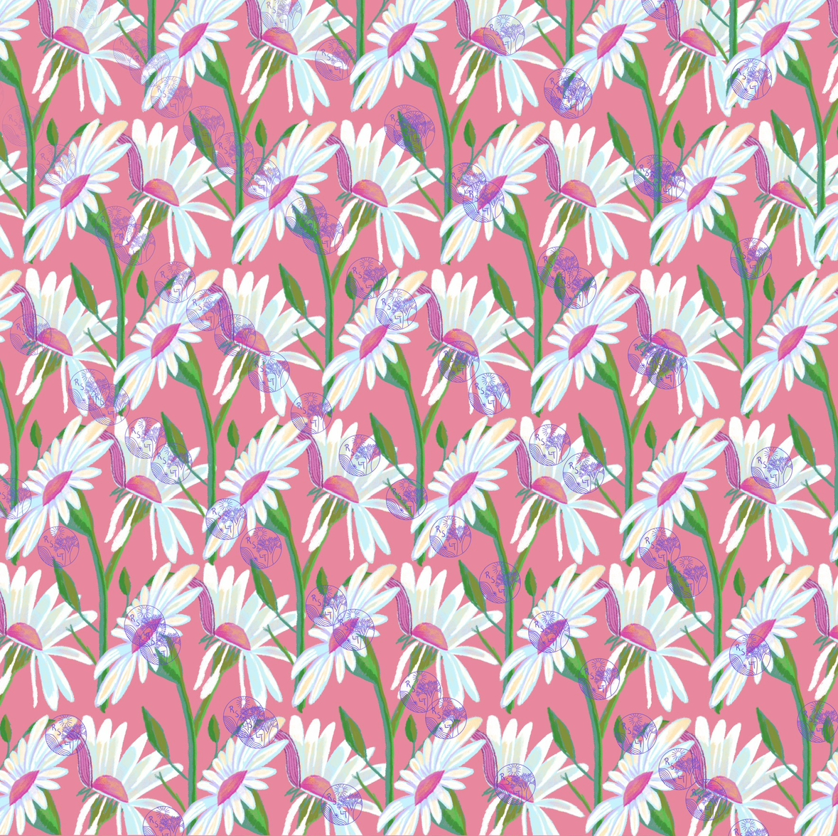 Daisies