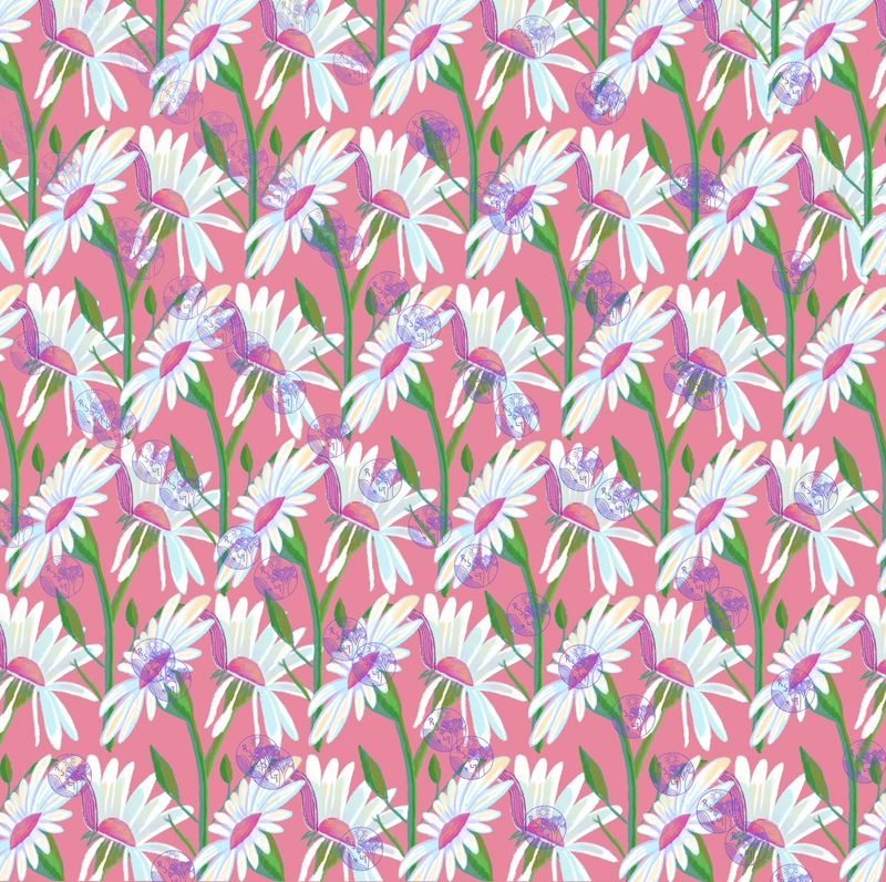 Daisies